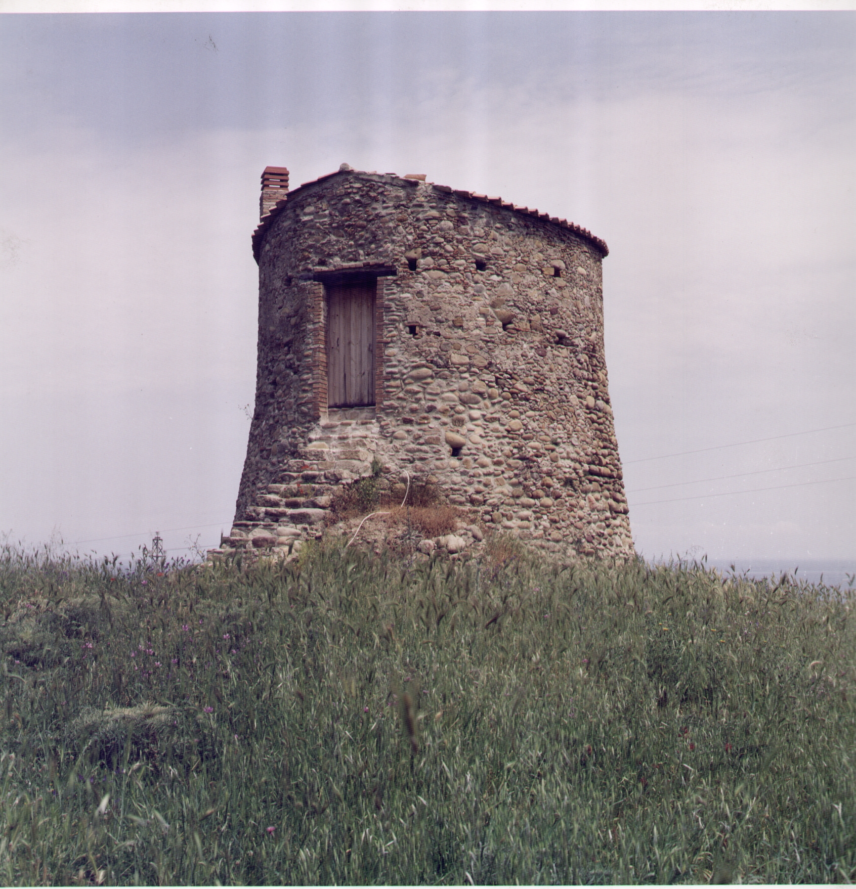Fondo_De_Rose_F._25__Torre_Mirto_Crosia_(CS)_
