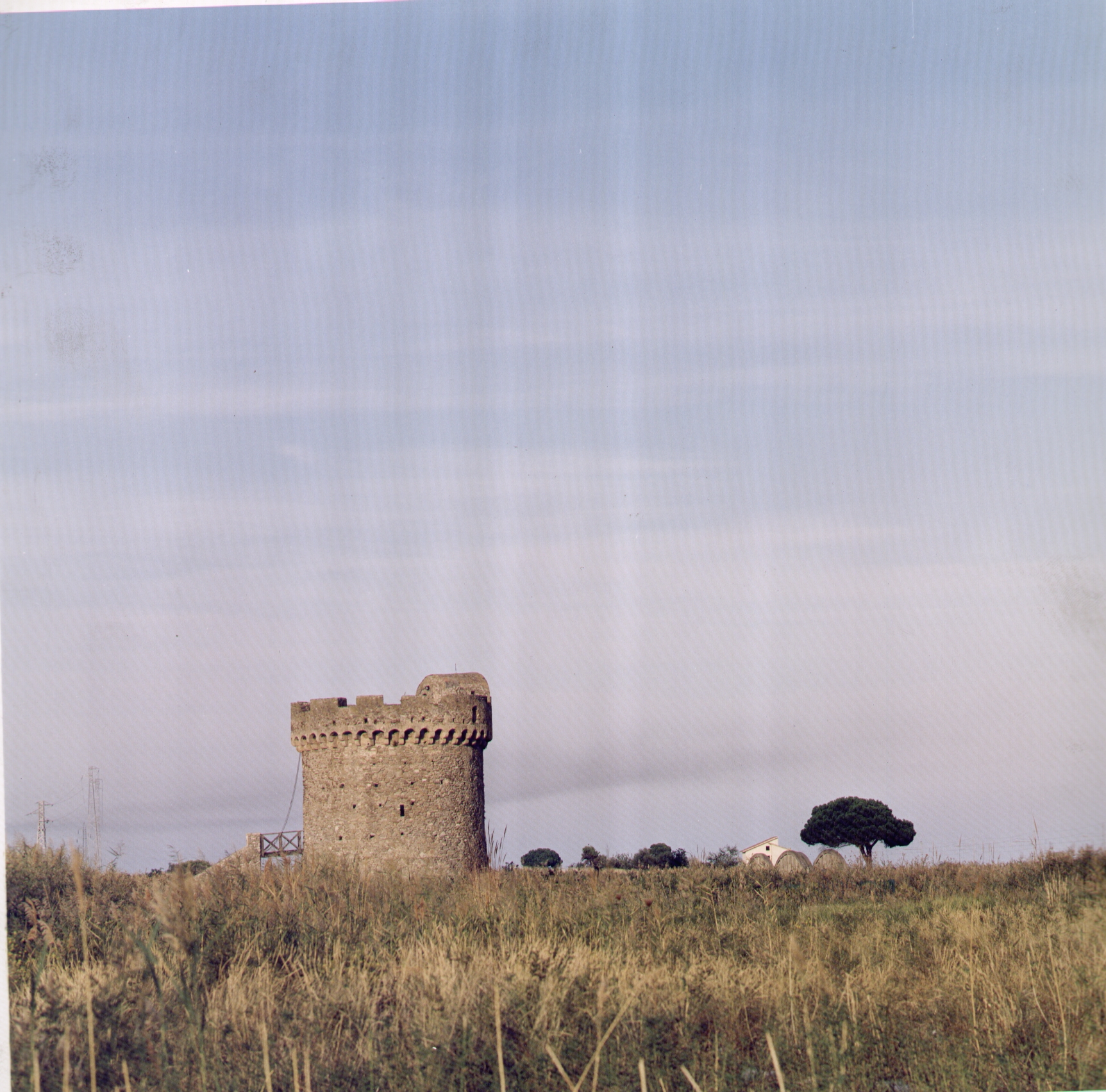 Fondo_De_Rose_F._33_Torre__Del_Saraceno_Villapiana_(CS)_