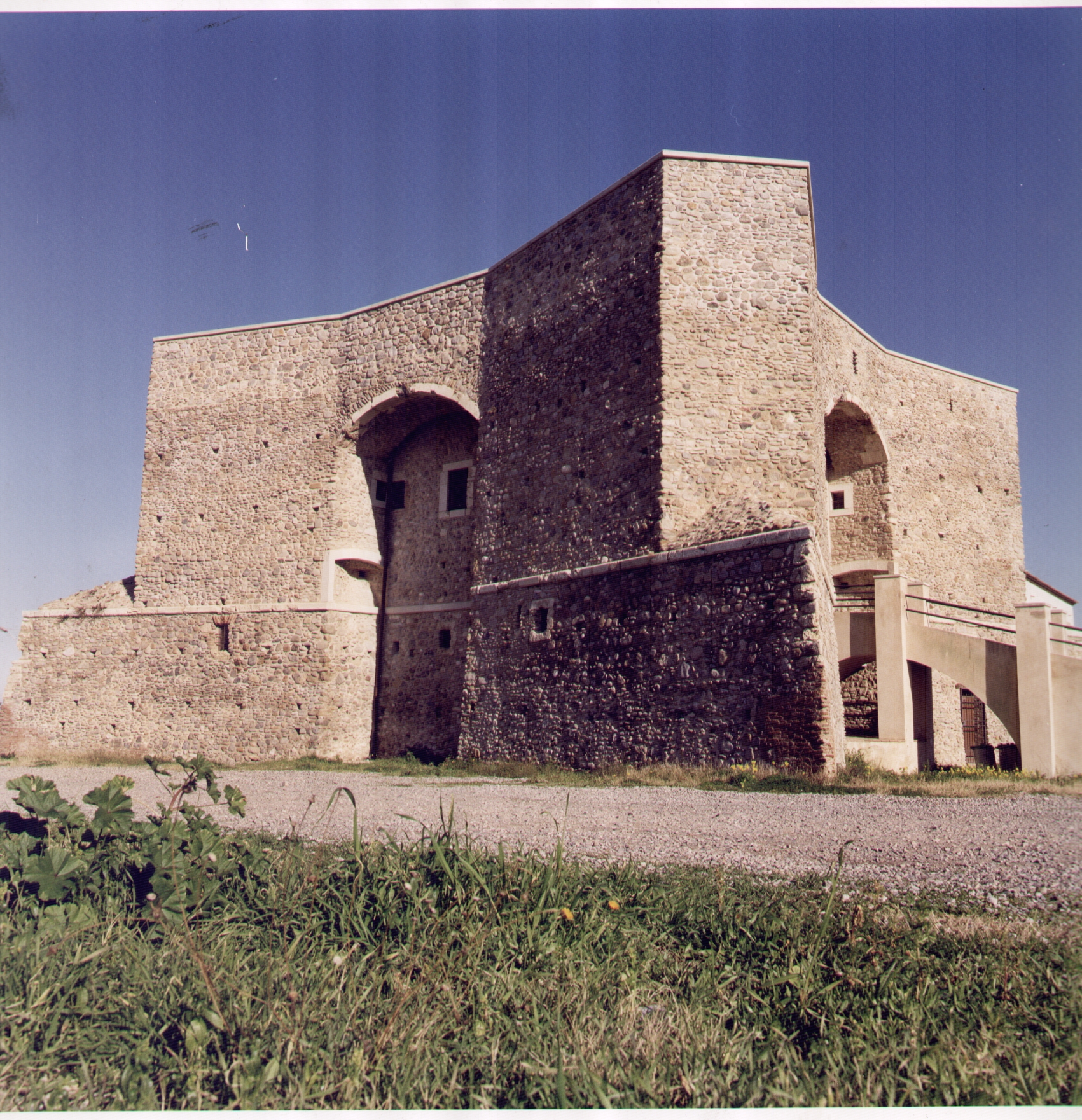 Fondo_De_Rose_F._32_Torre_Rossano_(CS)_