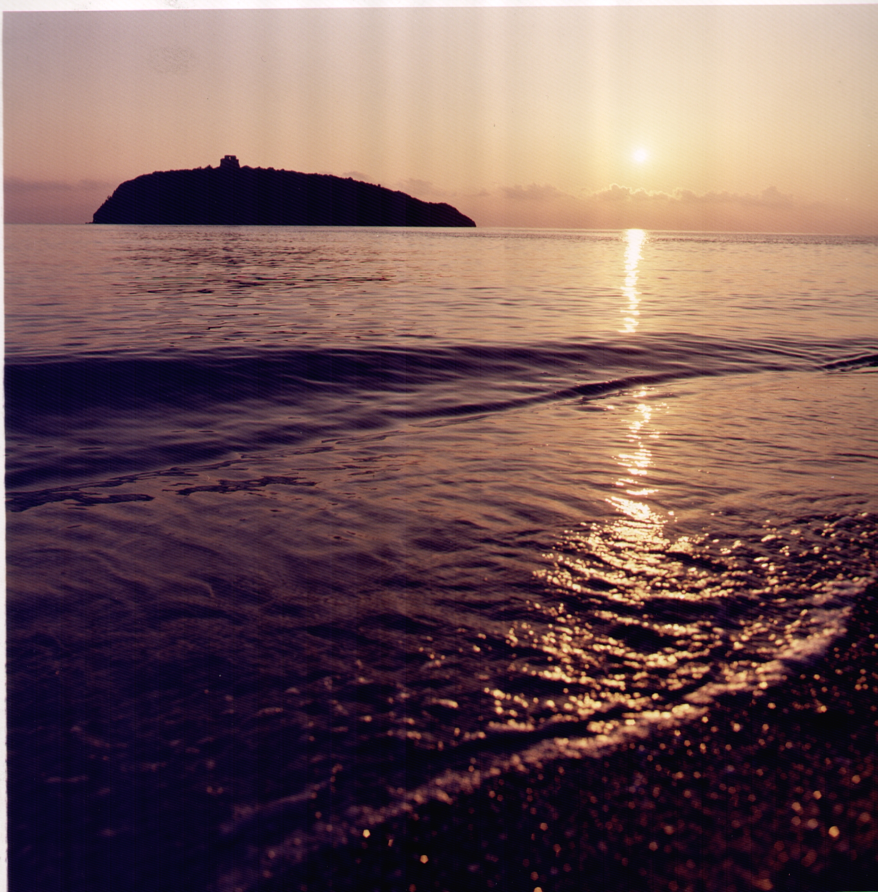 Fondo_De_Rose_F._61_Isola_di_Cirella_(CS)__