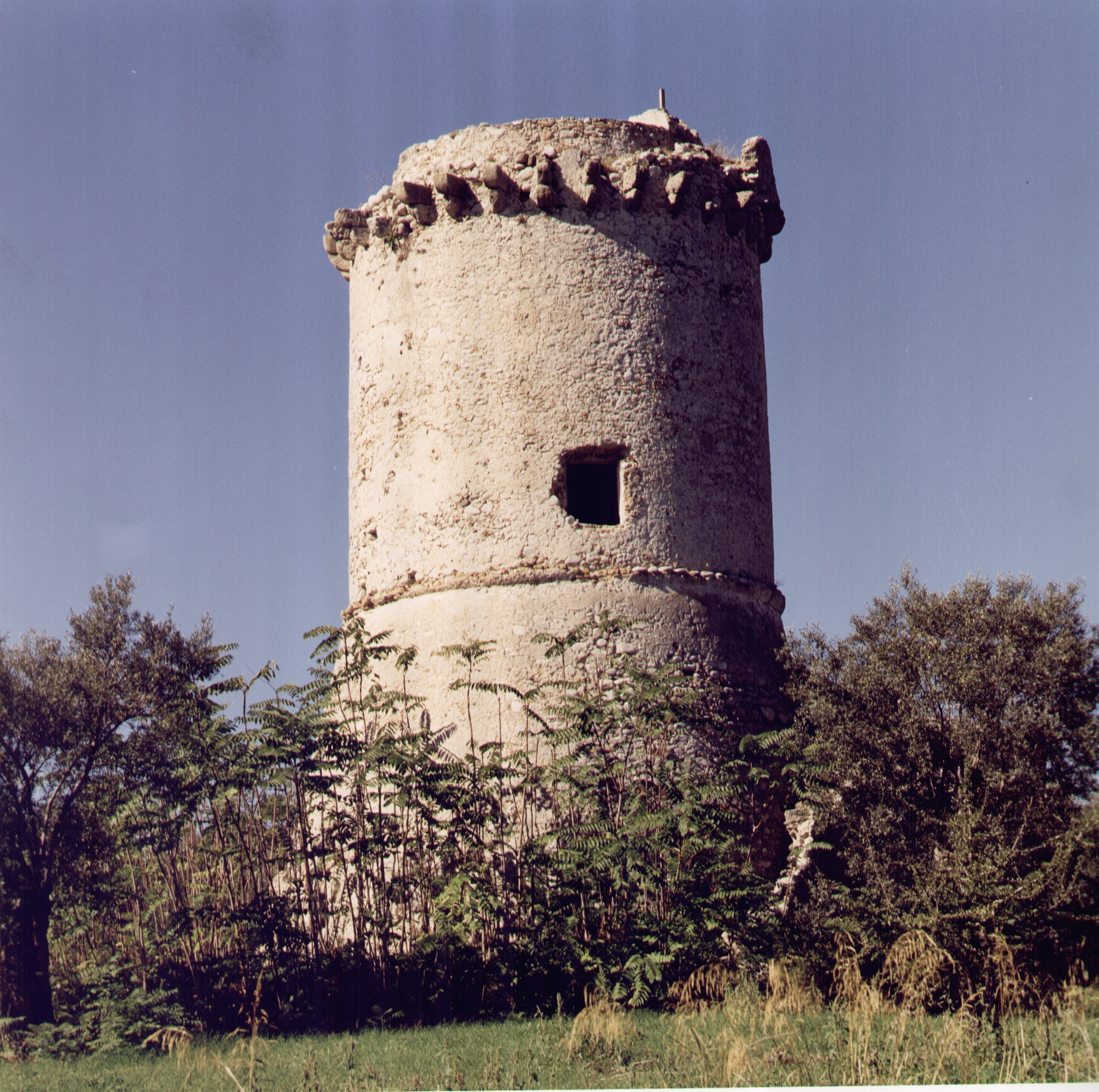Fondo_De_Rose_F._76_Torre___Caulonia_(RC)__